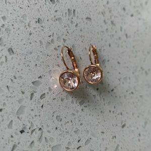 Touchstone Crystal by Swarovski Earrings